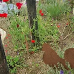 Chalet Abane Au