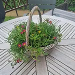 Abane Au Бютгенбах